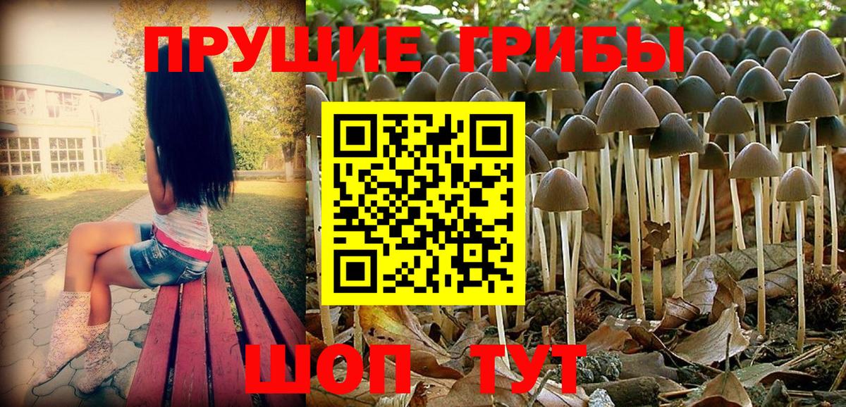Воскресенск  Галлюциногенные грибы Magic Shrooms  где найти наркотики  Вход с VPN 